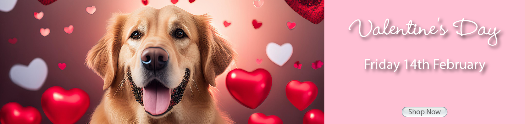 Valentine's Day Friday 14th February